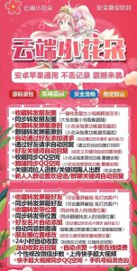 置顶 云端小花朵_同步跟随转发朋友圈软件_官方微信一键转发 – 激活码授权购买指南