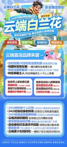 置顶 云端白兰花-可改文字内容的转发朋友圈-官微转发 – 激活码授权购买指南