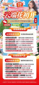 云端花初开2025更新版_官方微信自动同步转发朋友圈软件_云端转发软件 – 激活码授权购买指南