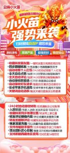 云端秒抢小火苗支持企业群红包_云端小火苗官网 – 激活码授权购买指南