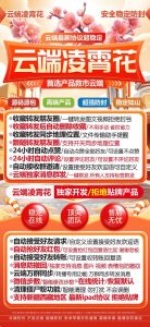 云端凌霄花官网,地址登录教程 秒抢版皓月云实时极速收藏转发好友朋友圈 – 激活码授权购买指南