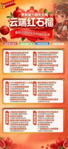 微信转发软件-云端红石榴-转发秒抢红包一体软件 – 激活码授权购买指南