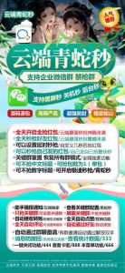 云端秒抢青蛇秒_月卡激活码授权模式_云端青蛇秒官网 – 激活码授权购买指南