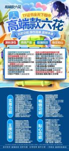 苹果TF高端六花-微信多开分身软件_苹果高端六花官网 – 激活码授权购买指南