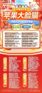 大脸猫官网-微信分身多开 – 激活码授权购买指南