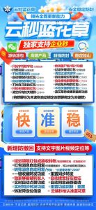 云端抢红包小哪吒-云端秒抢正版激活码授权教程 – 激活码授权购买指南