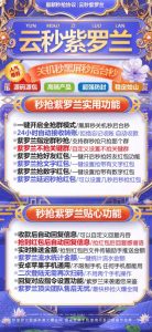云端紫罗兰官网-云端秒抢红包 – 激活码授权购买指南
