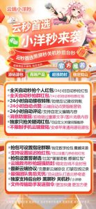 云端抢红包小洋秒-云端秒抢正版激活码授权教程 – 激活码授权购买指南