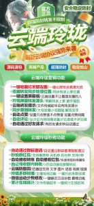 云端云玲珑官网-云端秒抢红包 – 激活码授权购买指南