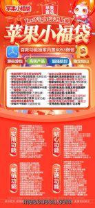 苹果小福袋-正版激活码授权教程 – 激活码授权购买指南