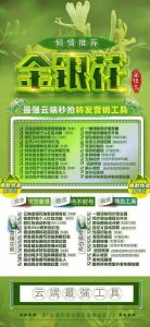 云端转发金银花-2025新版收藏转发朋友圈-支持本地上传大视频 – 激活码授权购买指南