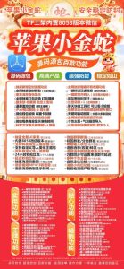 苹果小金蛇TF版本微信分身多开-支持ipad模式双设备登录 – 激活码授权购买指南