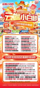 云端秒抢小白秒支持黑屏关机离线_云端抢红包小白秒官网 – 激活码授权购买指南