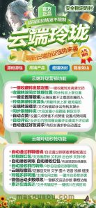 云端玲珑官网转发超级防封_正版月卡季卡年卡激活码_官微转发 – 激活码授权购买指南