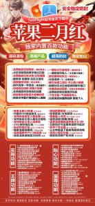 苹果二月红激活码授权教程-二月红微信多开TF版本下载APP – 激活码授权购买指南