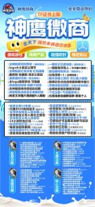 苹果微信多开神鹰微商激活码商城24小时版本 支持修改步数-朋友圈发1小时视频 – 激活码授权购买指南