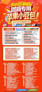 ios分身多开小豆包-朋友圈支持千兆大视频转发-激活码商城苹果多开汇总版 – 激活码授权购买指南